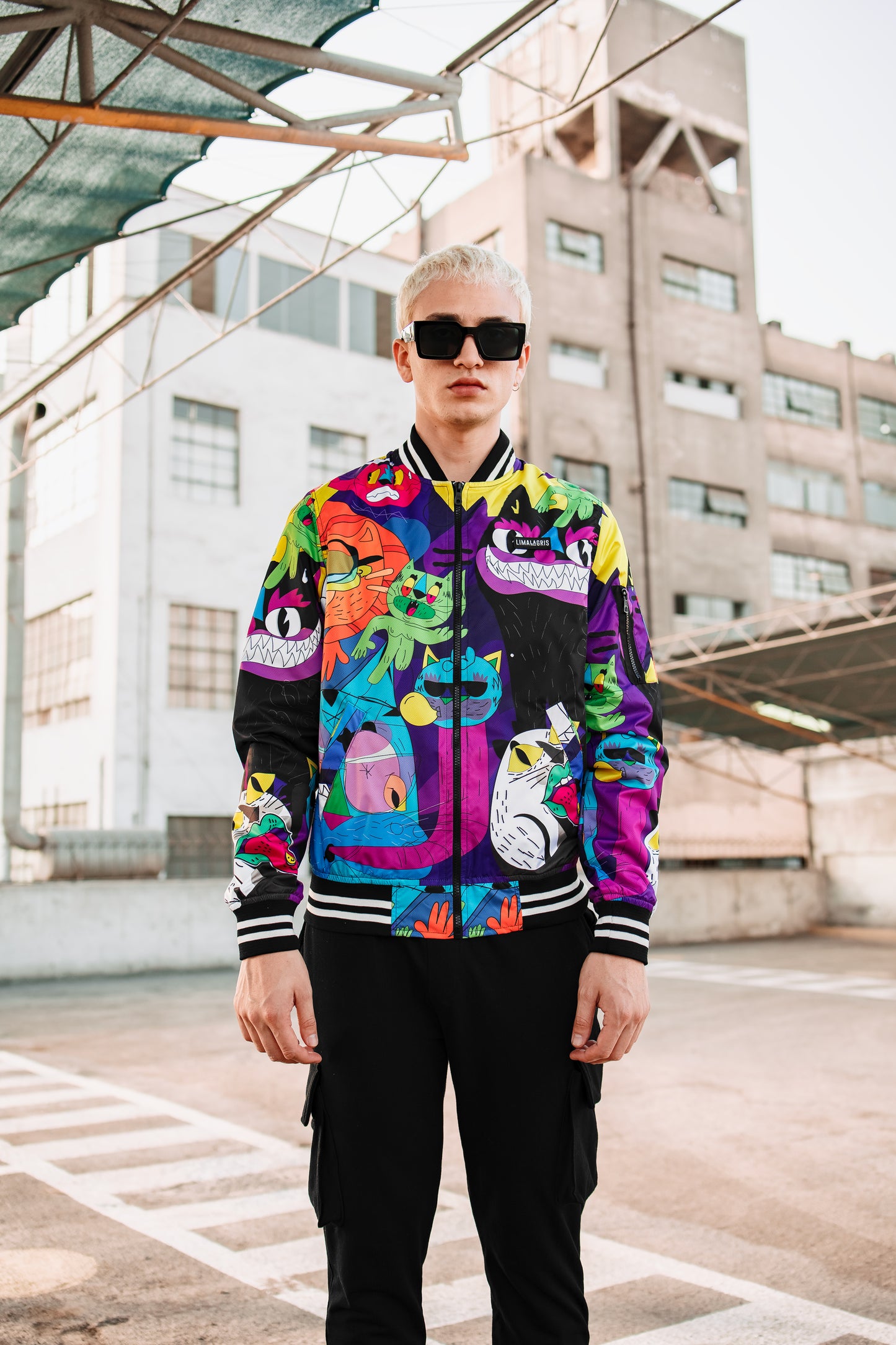 Bomber ‘Gatos‘